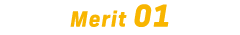 Merit 01